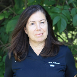 Montague dentist Dr angela Crincoli